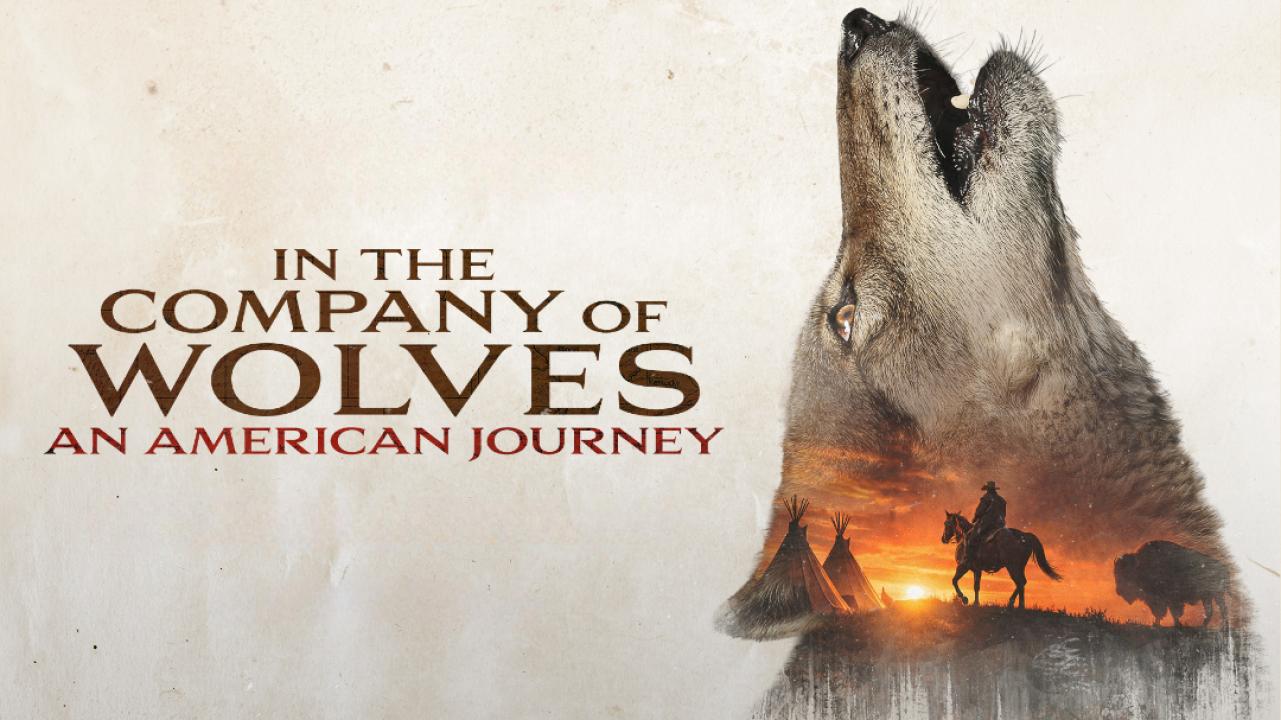 فيلم In The Company Of Wolves An American Journey 2026 مترجم