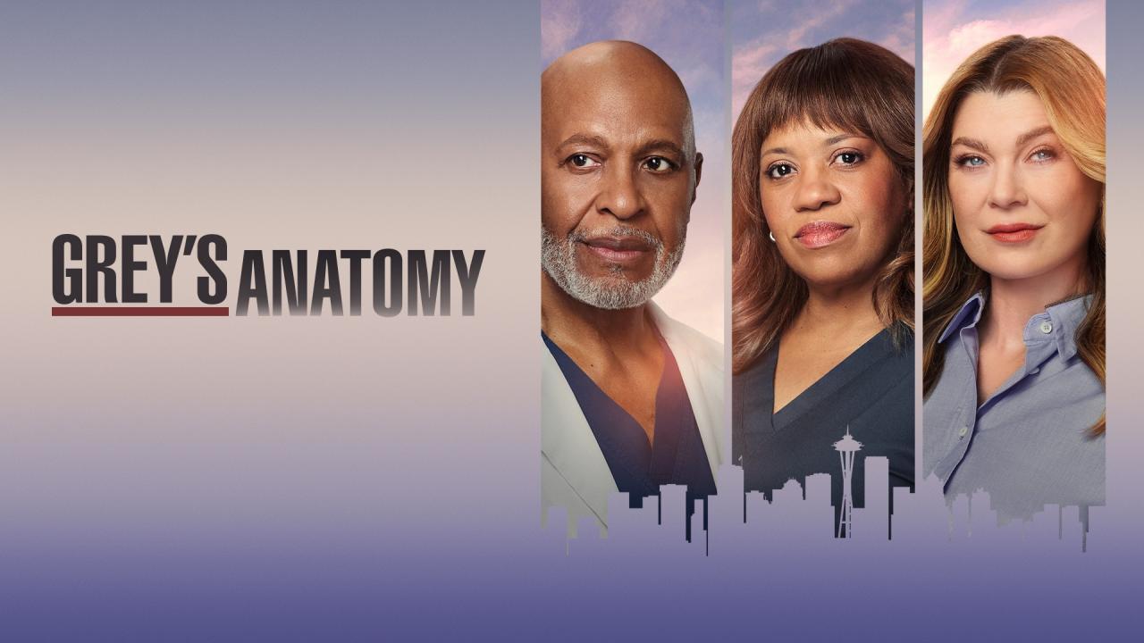 مسلسل Grey's Anatomy الموسم 23 الحلقة 2 الثانية مترجمة